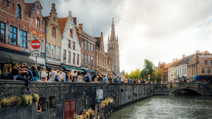Traitement punaises de lit Bruges
